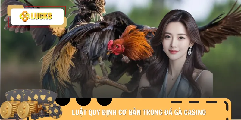 da-ga-casino-luat