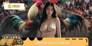 truc-tiep-da-ga-c3-hom-nay-avt